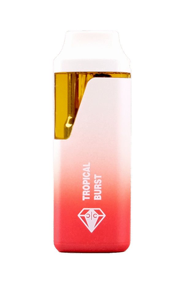 TROPICAL BURST - Image 2